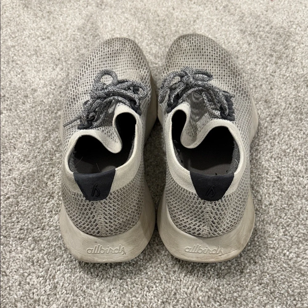 Men's Gray All Birds Shoes